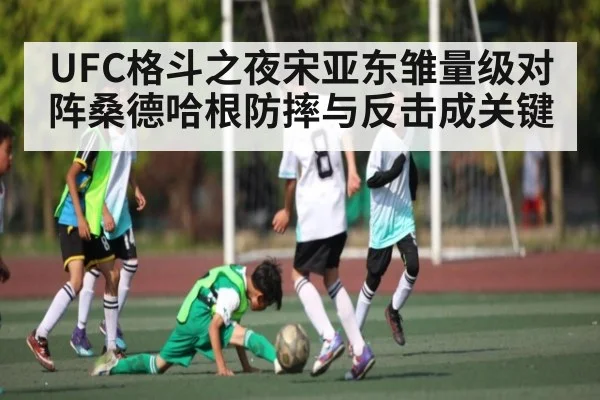 UFC格斗之夜宋亚东雏量级对阵桑德哈根防摔与反击成关键